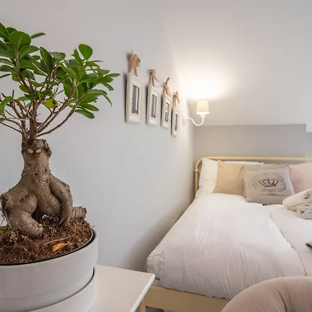 Apartman Lights Topolowa 8 *